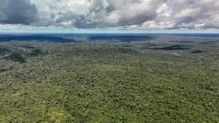 Fazenda autoriza crédito de US$ 1 bilhão do BID para Eco Invest Brasil